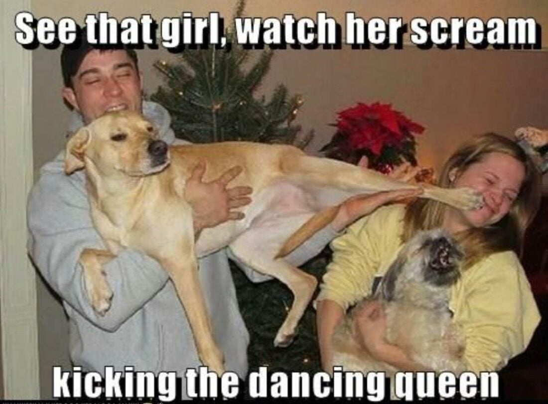 Oh, poor dancing queen.