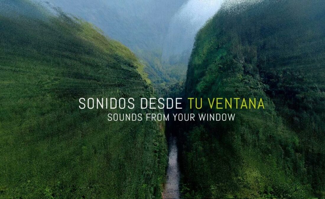 VozTerra's Sound From Your Window project helped build a library of nature samples that artists can use for their music. (From: VozTerra)