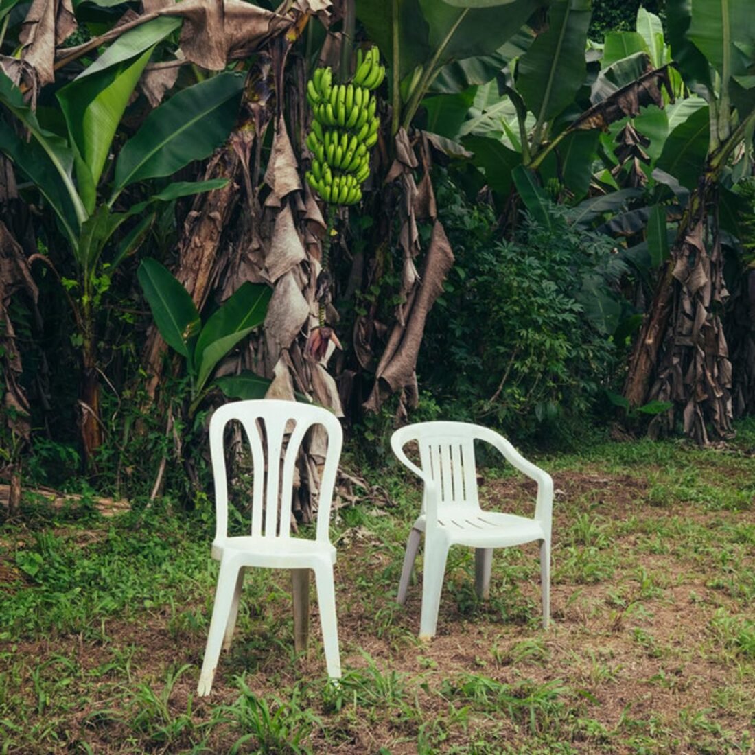Bad Bunny – DeBÍ TiRAR Más FOToS (From Spotify.com)