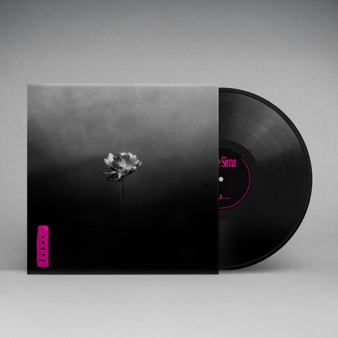 Little Simz – Lotus (From Amazon.com)