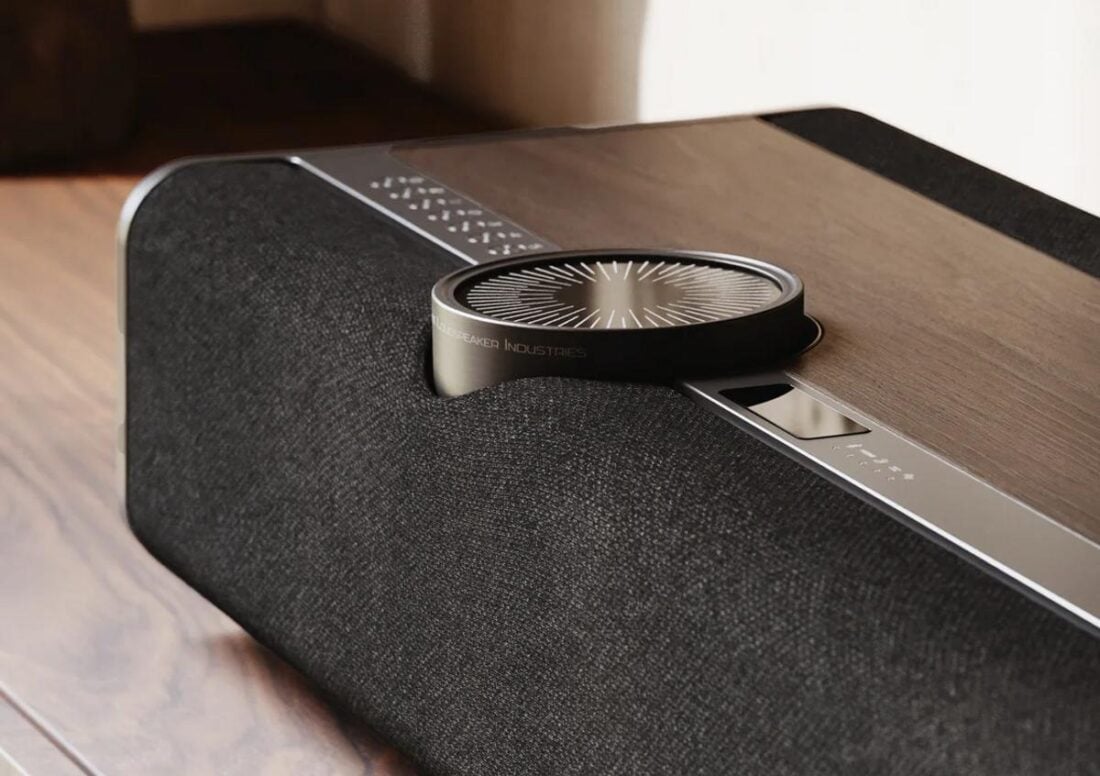 DALI Vega (From: DALI Speakers)