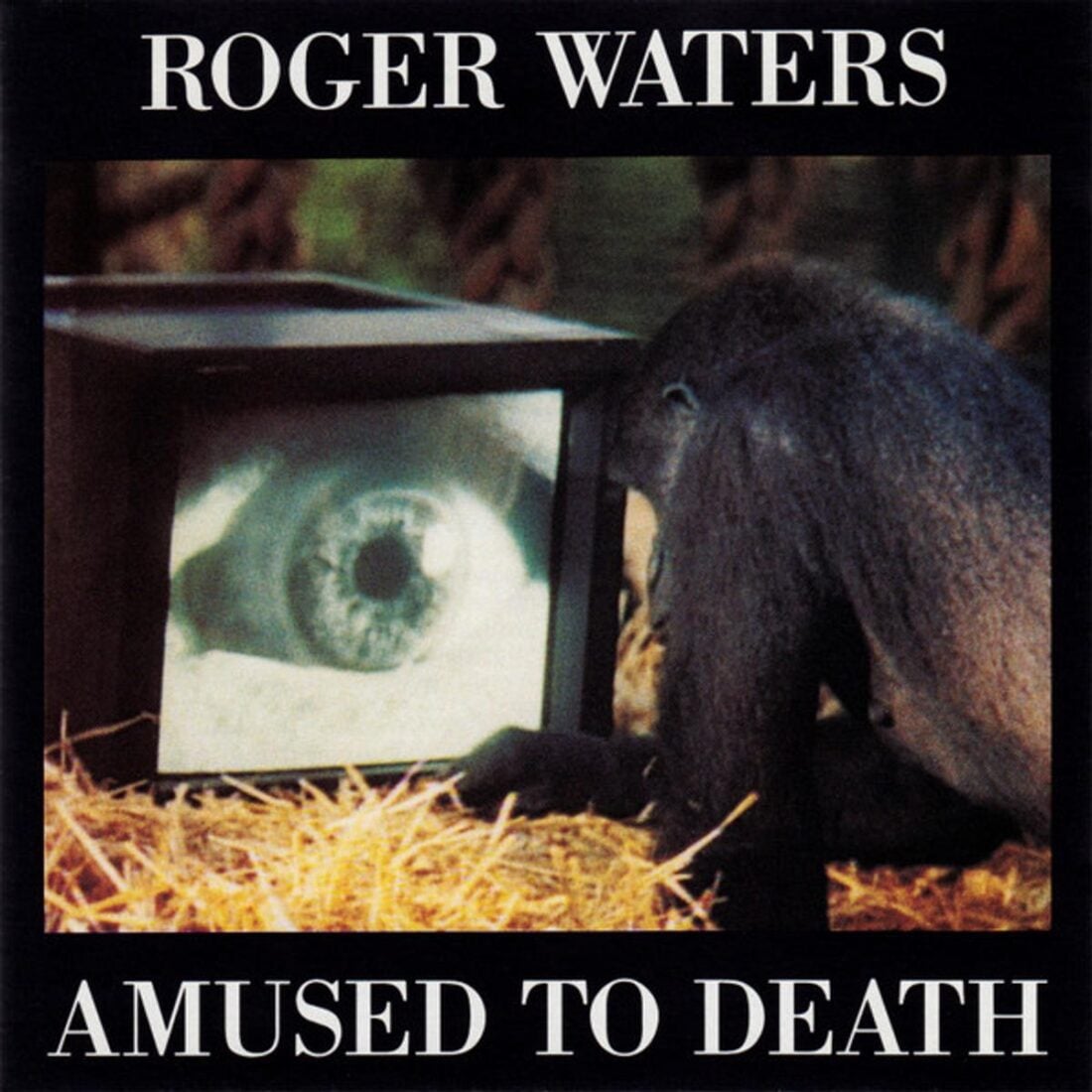 Amused to Death – Roger Waters (From: Discogs)